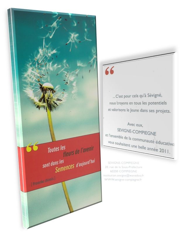 voeux2011