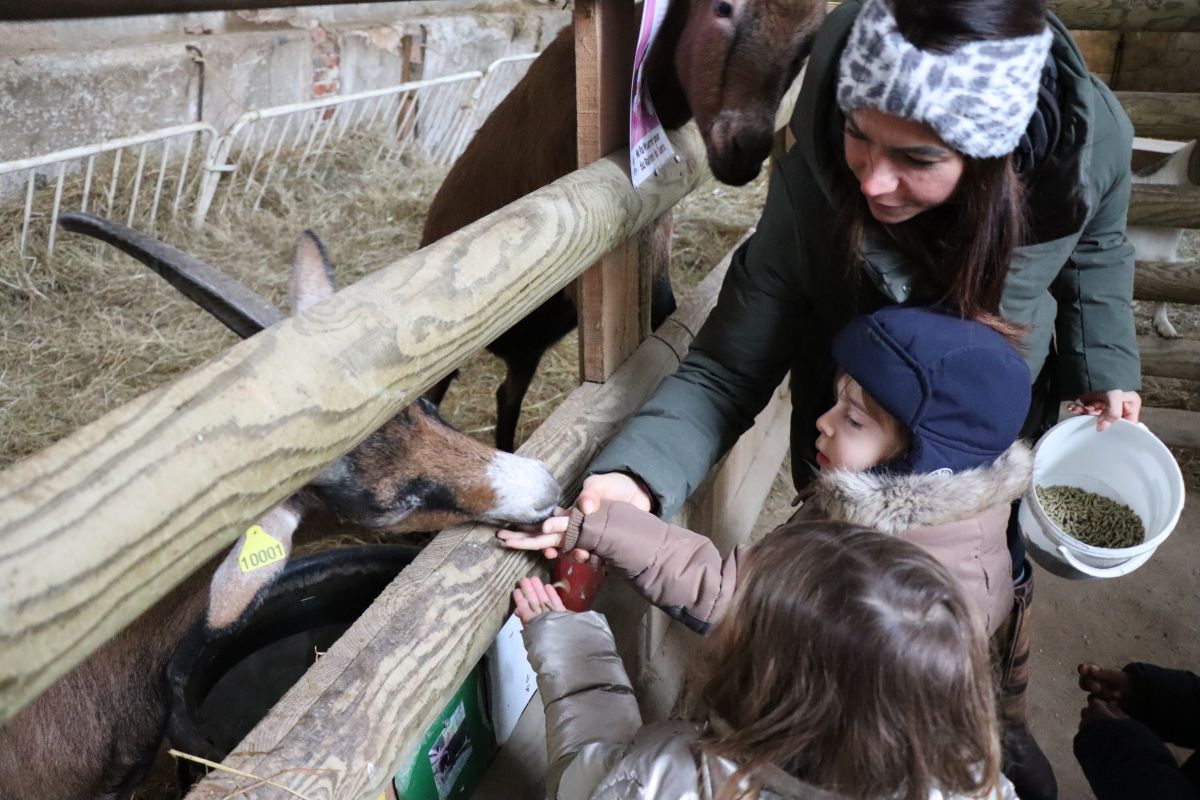 journée enfance