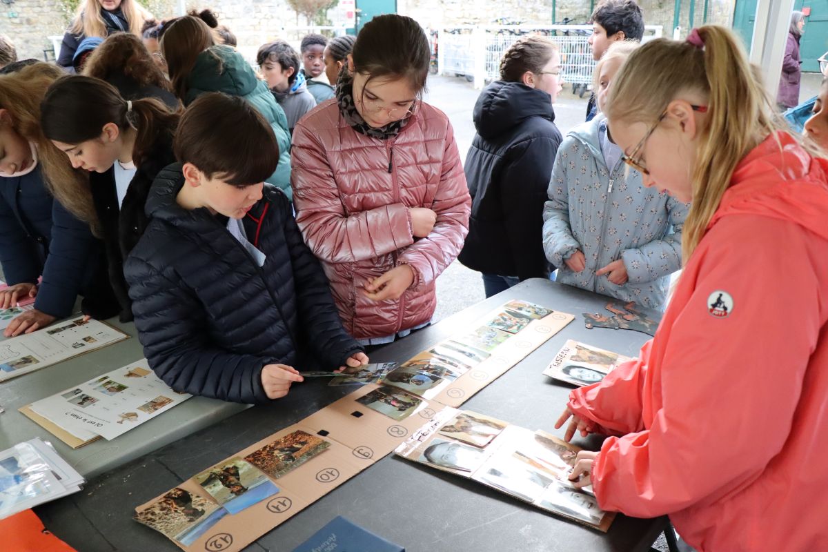 journée découvertes 2026