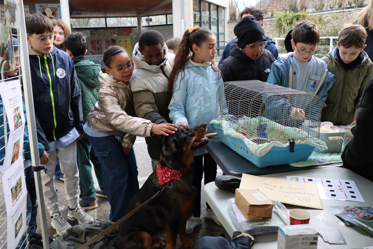 journée découvertes 2026
