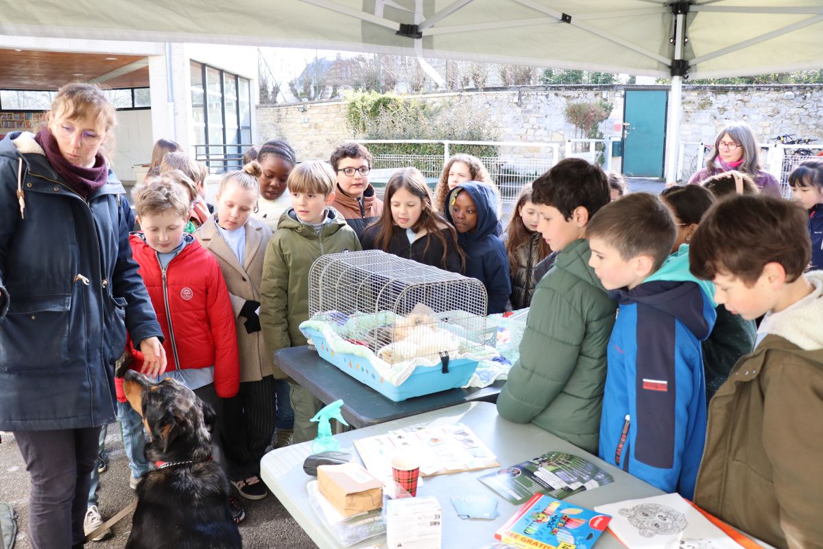 journée découvertes 2026