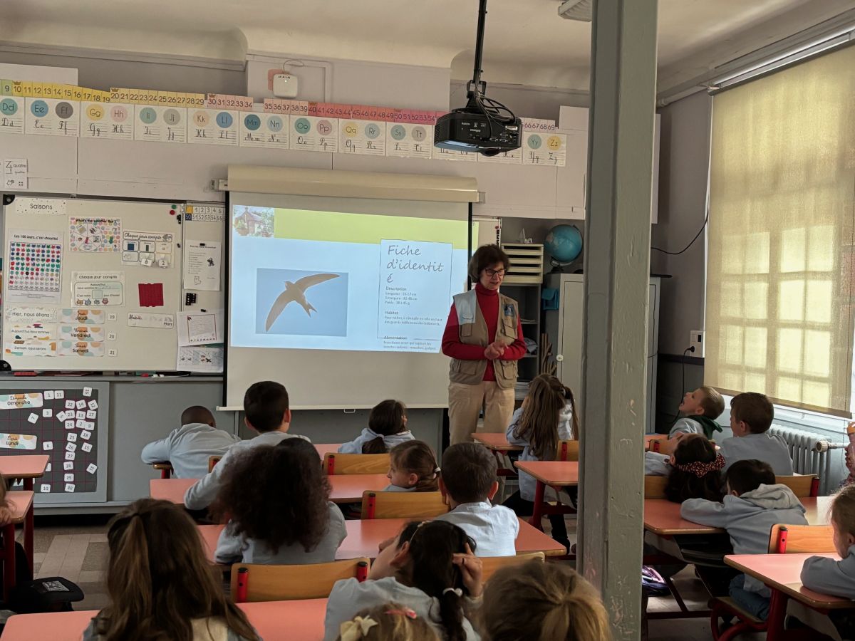 journée découvertes 2026