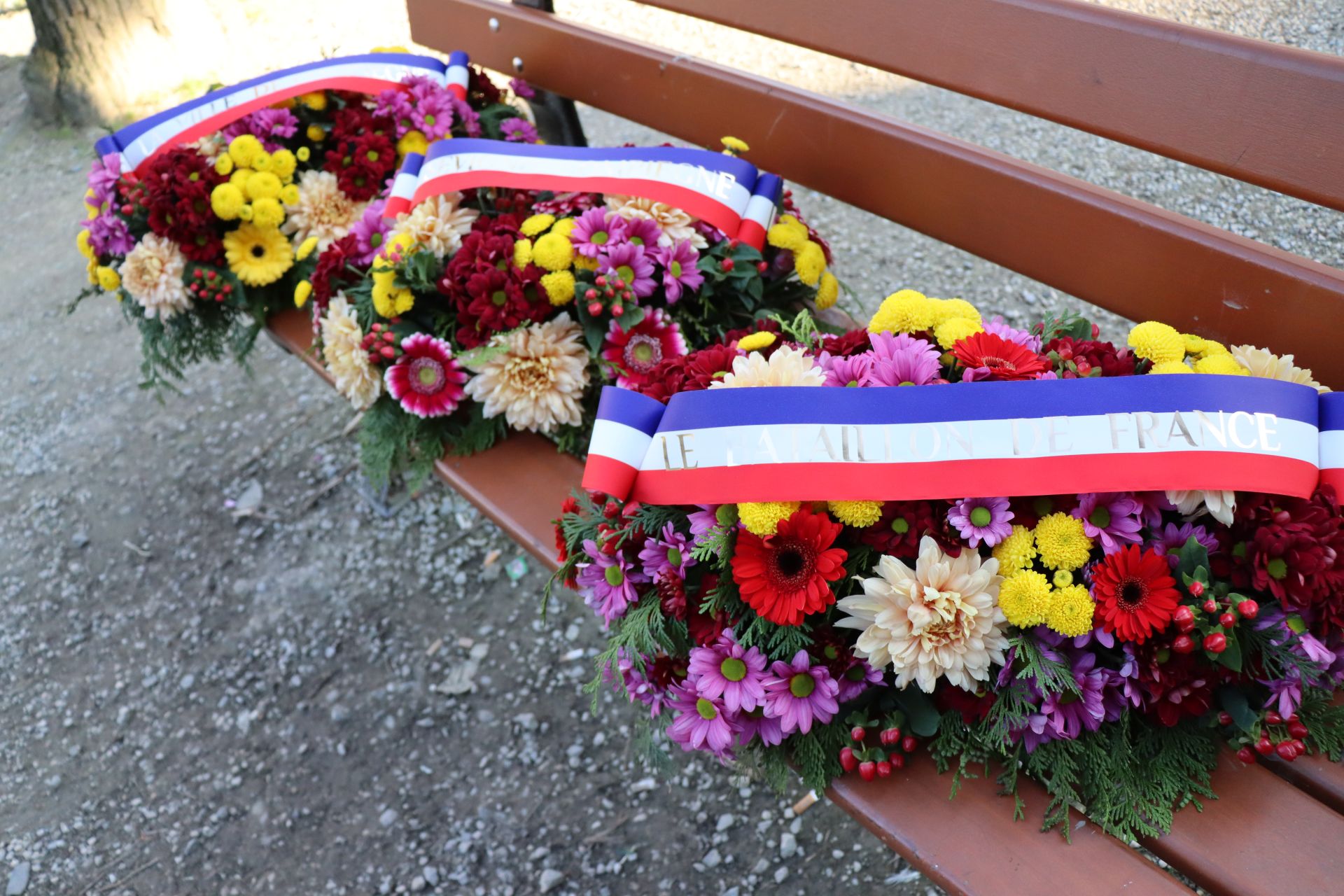 bataillon de france 2026